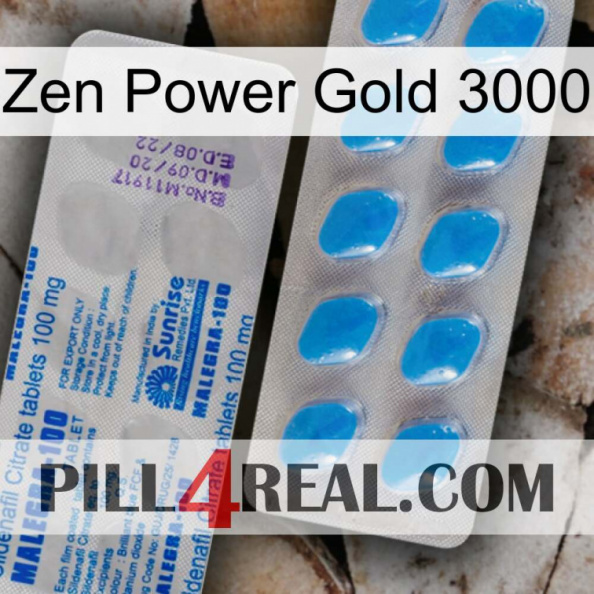 Zen Power Gold 3000 new15.jpg